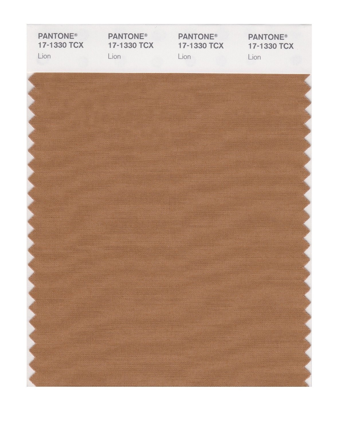 lions pantone colors