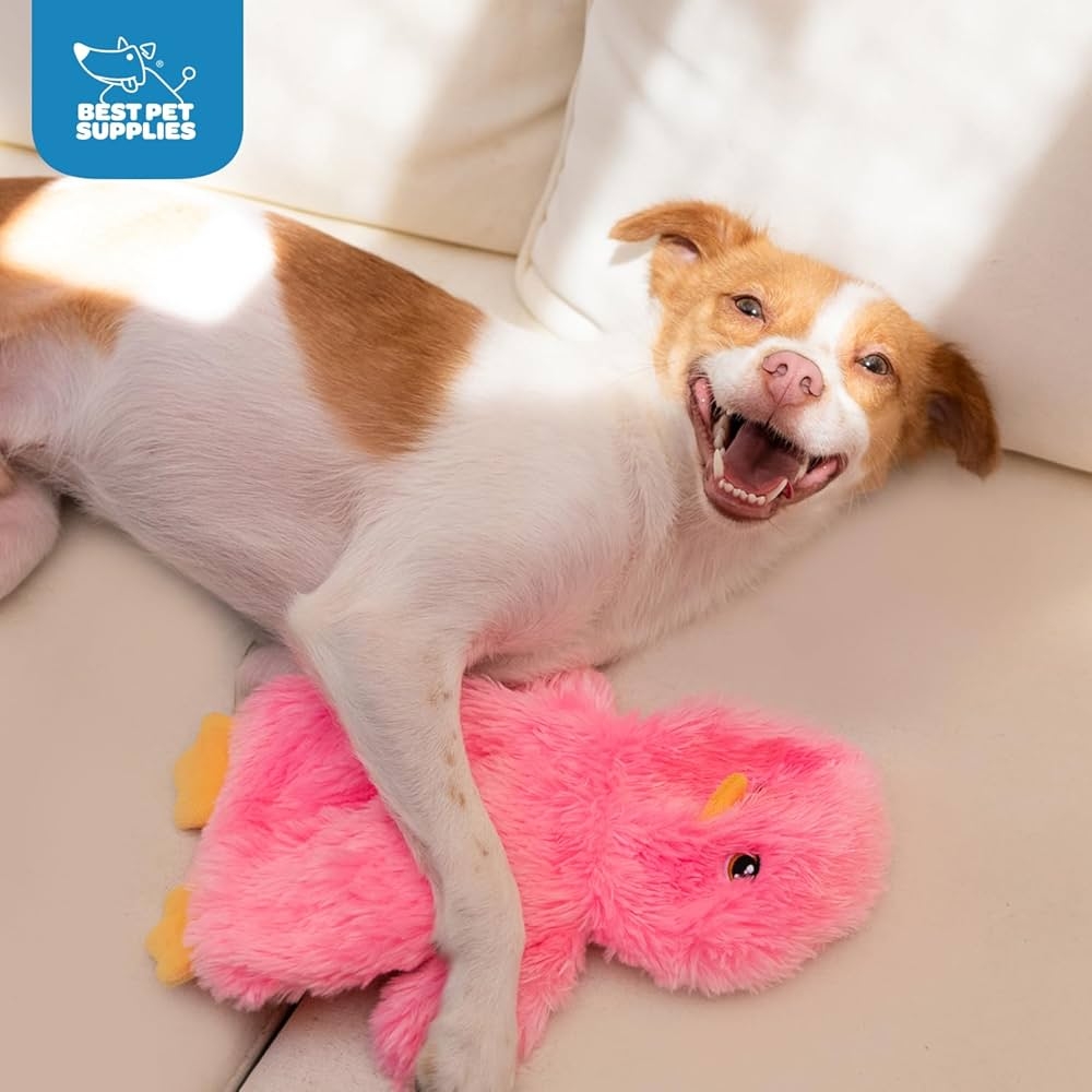 Pet Supplies Best Pet Supplies Chicken Crinkle Plush Dog Toys For Interactive Play Puppy And Senior Indoor Play Colorful Chicken Toy Shape Cute And Cuddly Crinkle Chicken Bundle Yellow Pink 