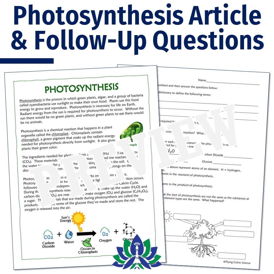 Photosynthesis And Cellular Respiration Article And Worksheet Set Flying Colors Science