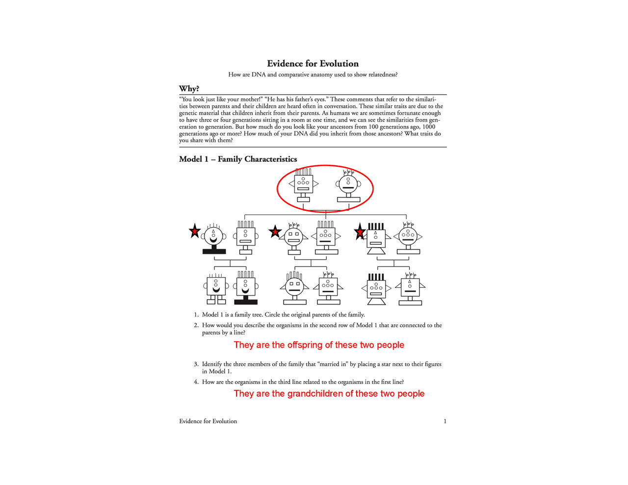 POGIL Evidence For Evolution ANSWER SHEET pdf Schemes And Mind Worksheets Library