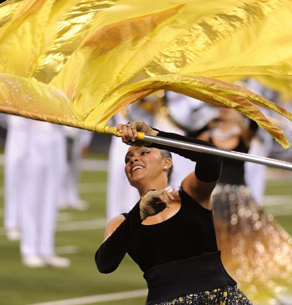 Practice Flags Curved Rectangle DSI