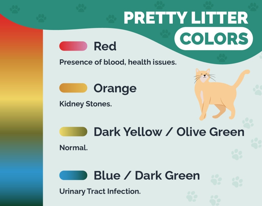 Pretty Litter Colors What Do They Mean With Color Chart 