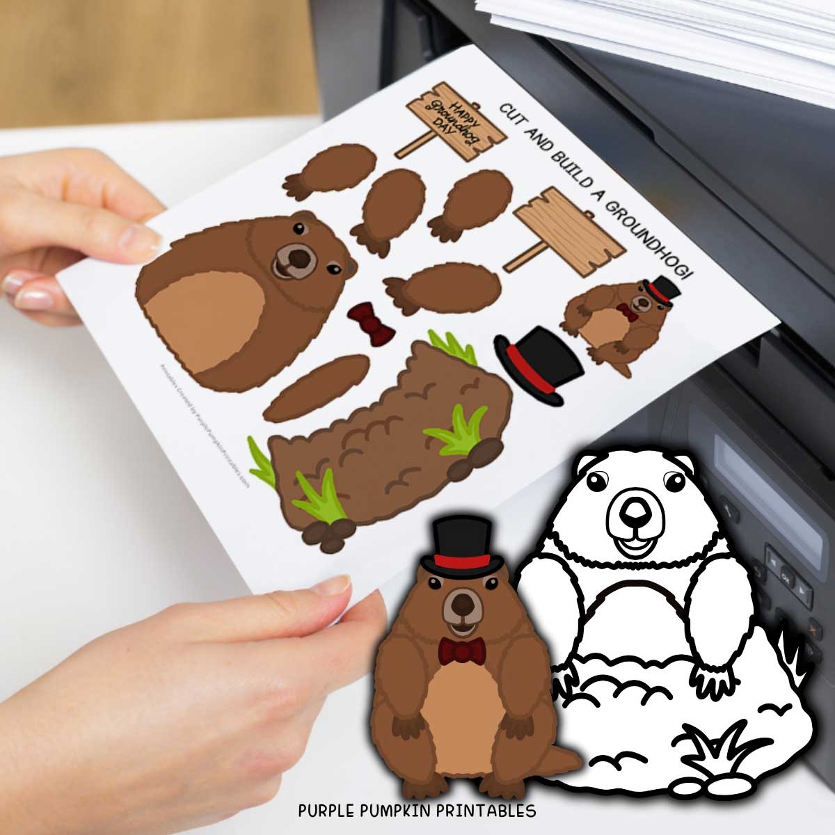 Printable Build A Groundhog Template Fun Groundhog Day Craft 