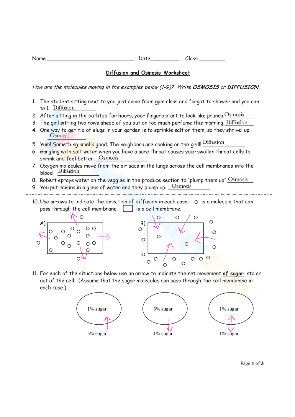 Printable Diffusion And Osmosis Worksheets