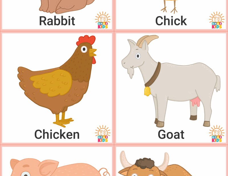 Printable Flashcards For Kids Farm Animals Amax Kids