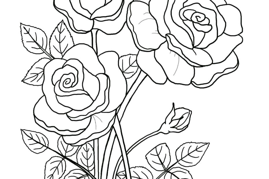Printable Floral Coloring Sheets Coloring Pages Adult Coloring Pages Kids Coloring Pages Coloring Flowers Etsy New Zealand