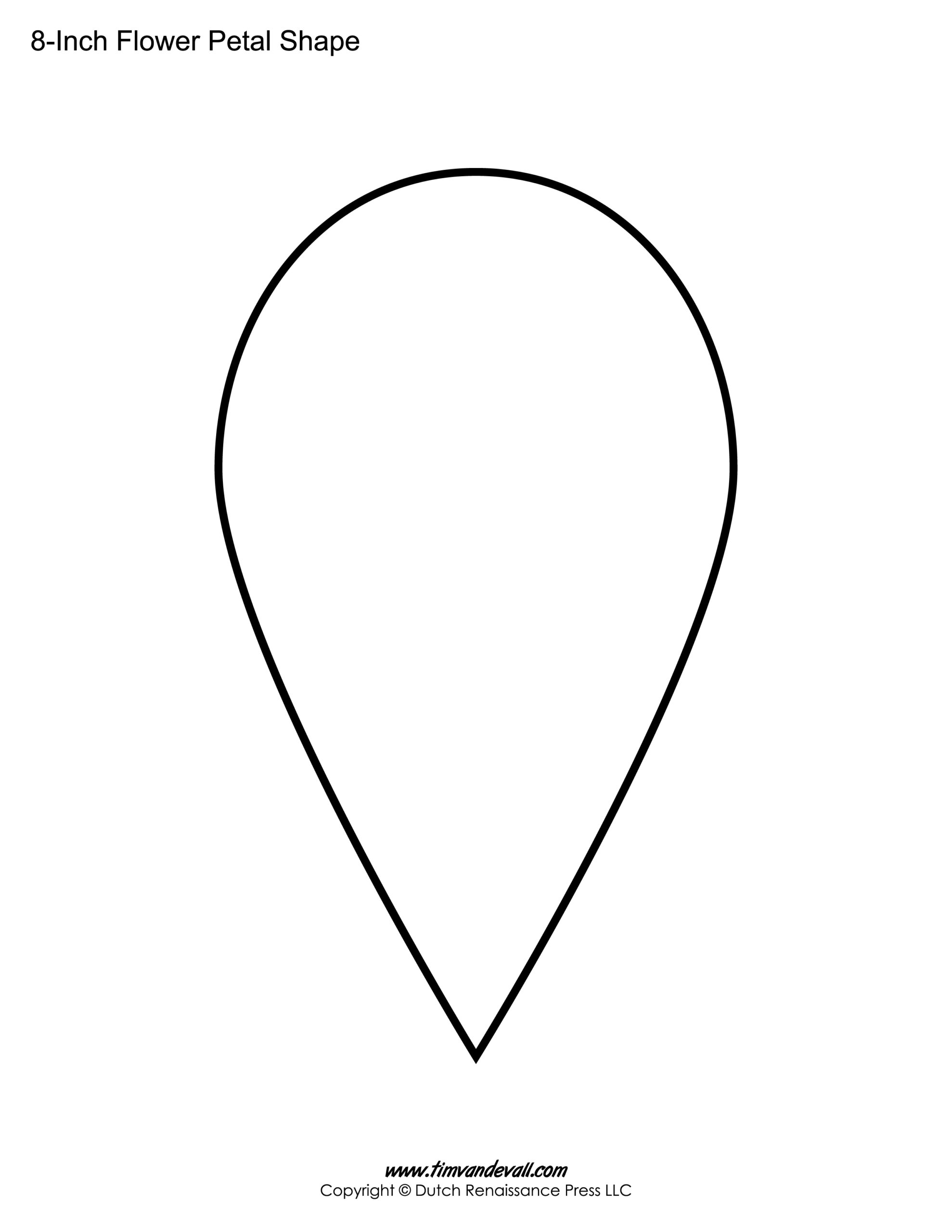 printable sunflower petal template
