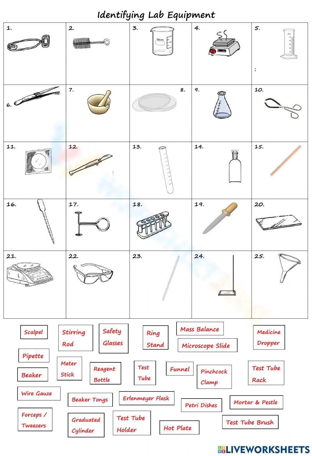 Printable Grade 10 Lab Equipment Worksheets Download