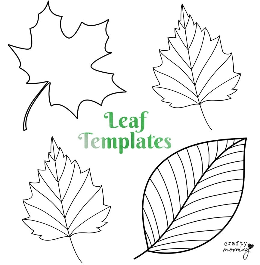 leaf free printables