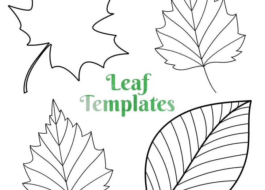 Printable Leaf Outline Templates Crafty Morning