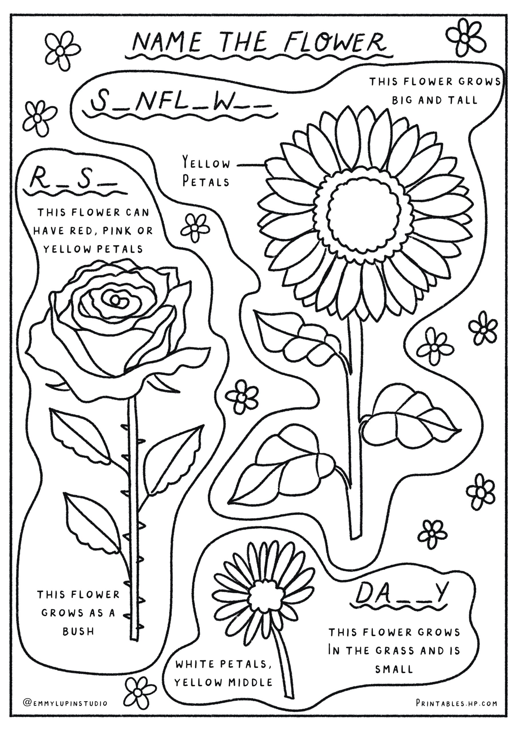 flower worksheet