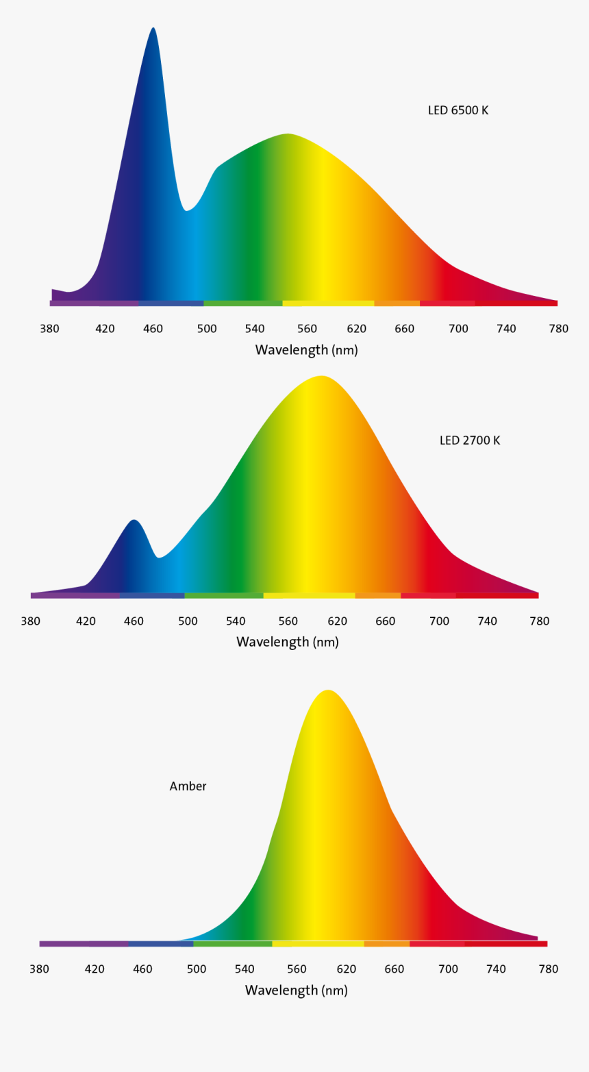 cat color spectrum