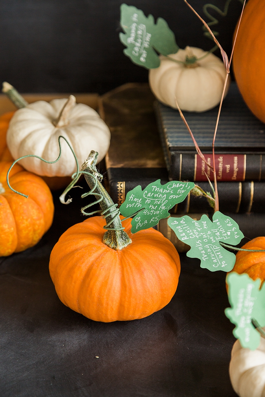 Pumpkin Leaf Favors The House That Lars Built