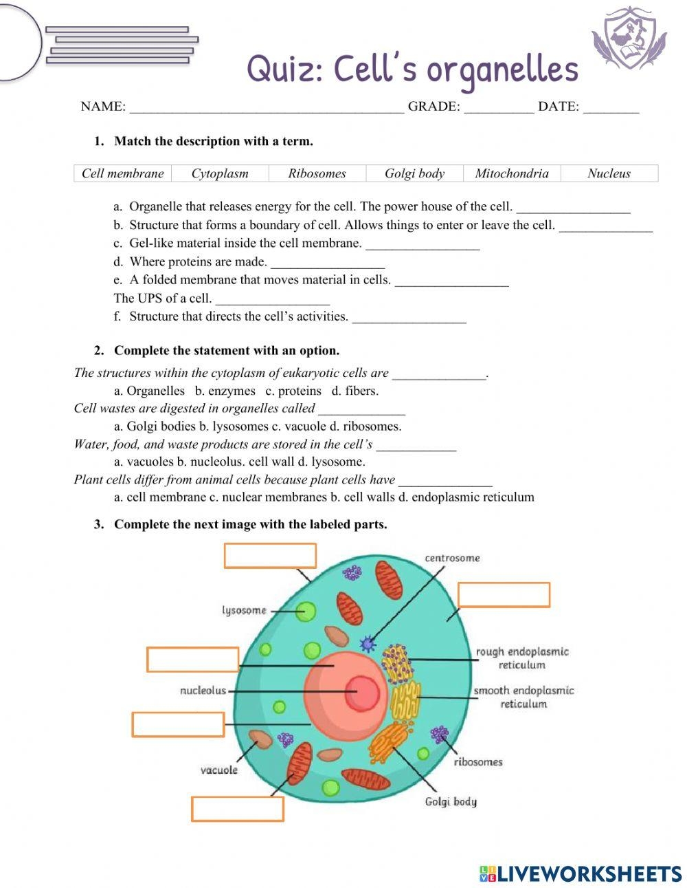 Quiz Cells Organelles Thebiologist Live Worksheets Library