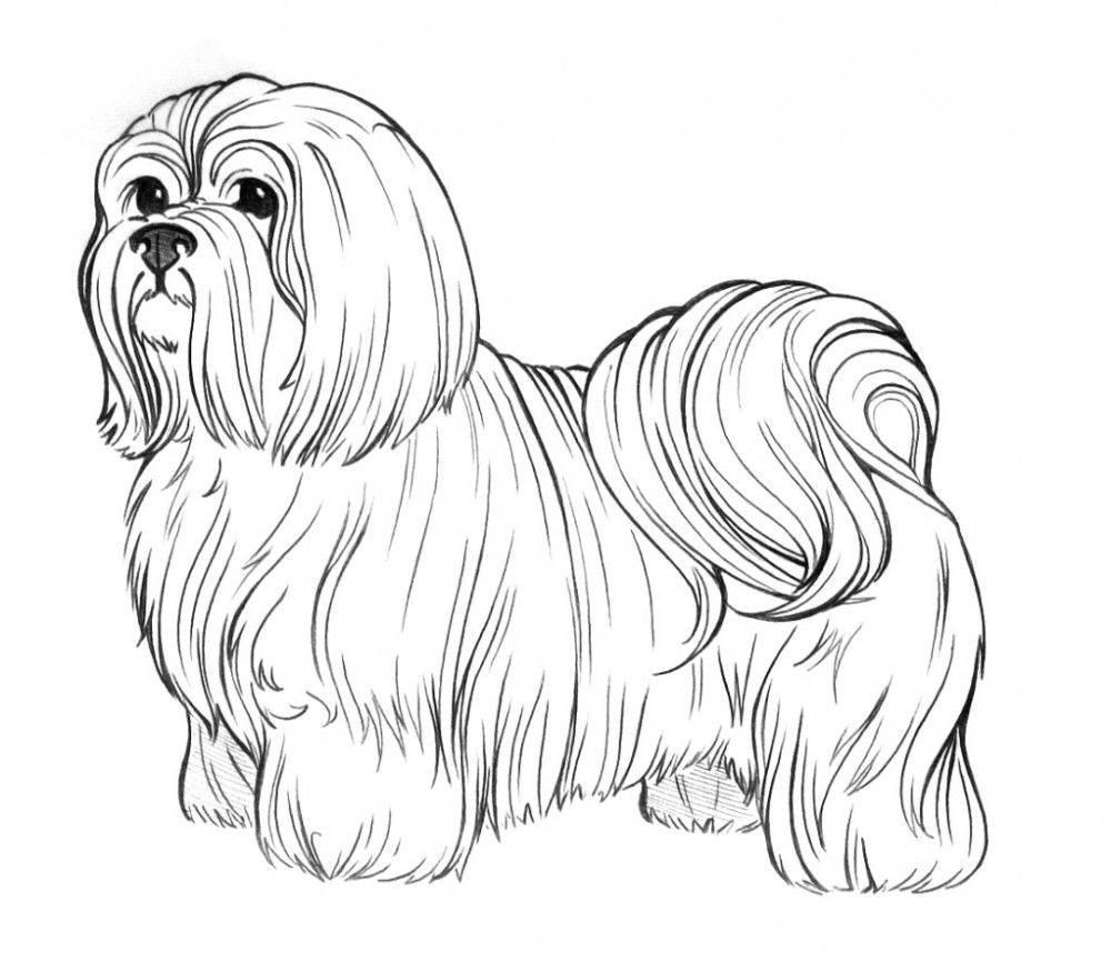 coloring pages of realistic dogs