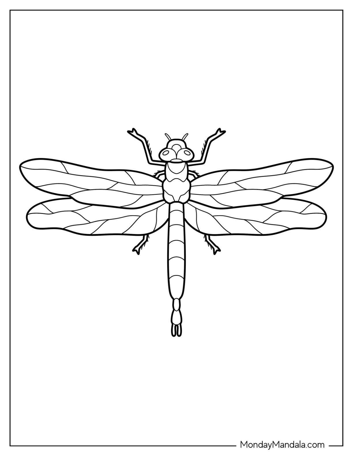 Realistic Dragonfly Coloring Pages Nature Inspired Learning Worksheets Library
