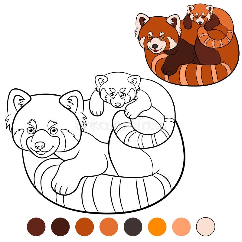 a pic of a red panda to color