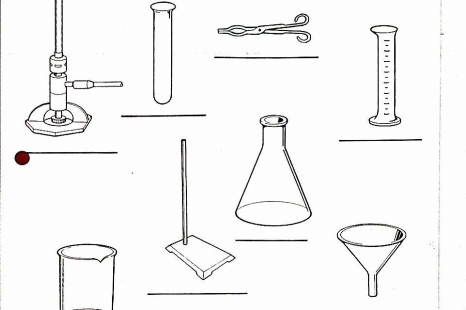 Science Lab Tools Worksheet Enhance Learning With Engaging Exercises