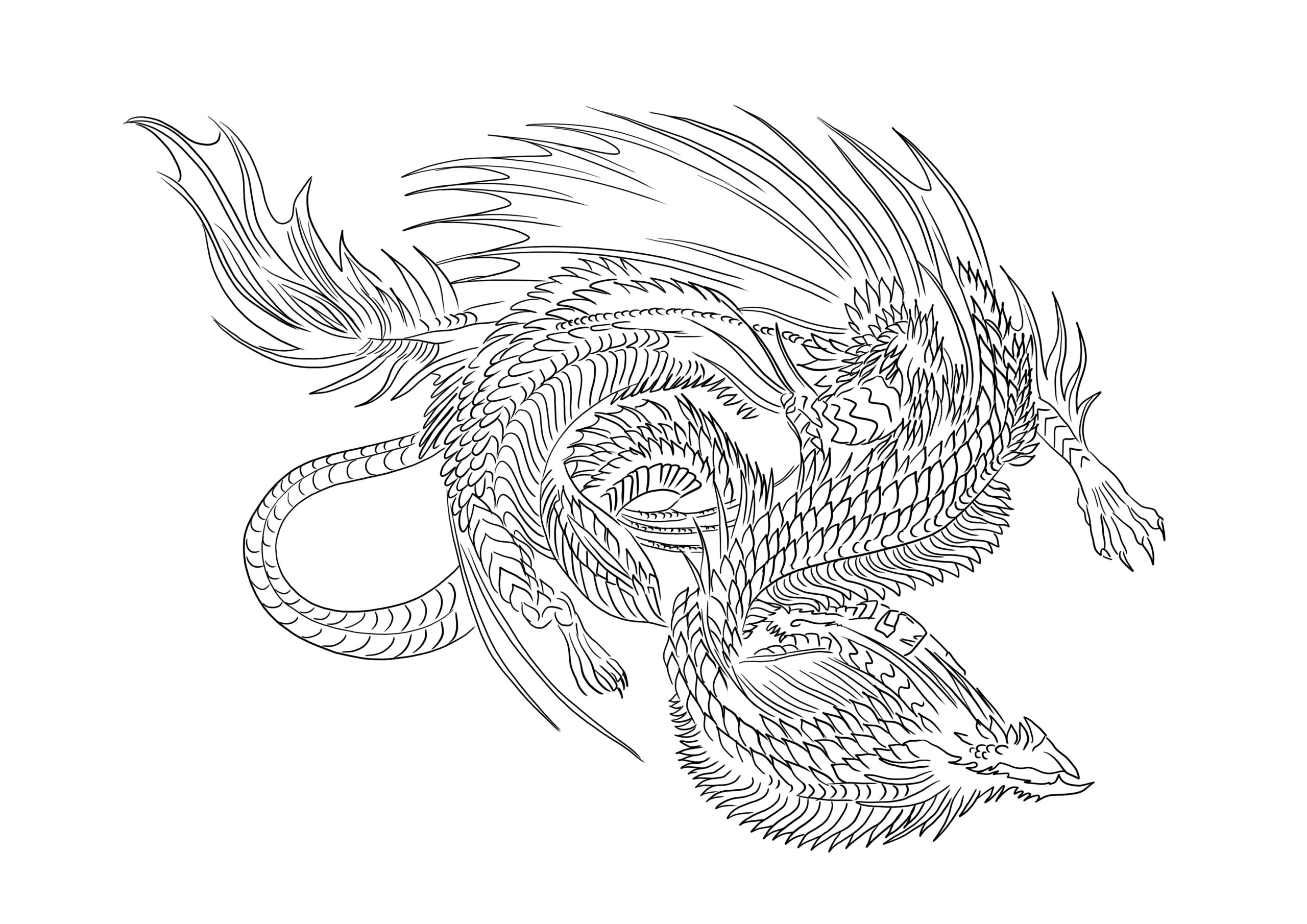 dragon printable coloring pages