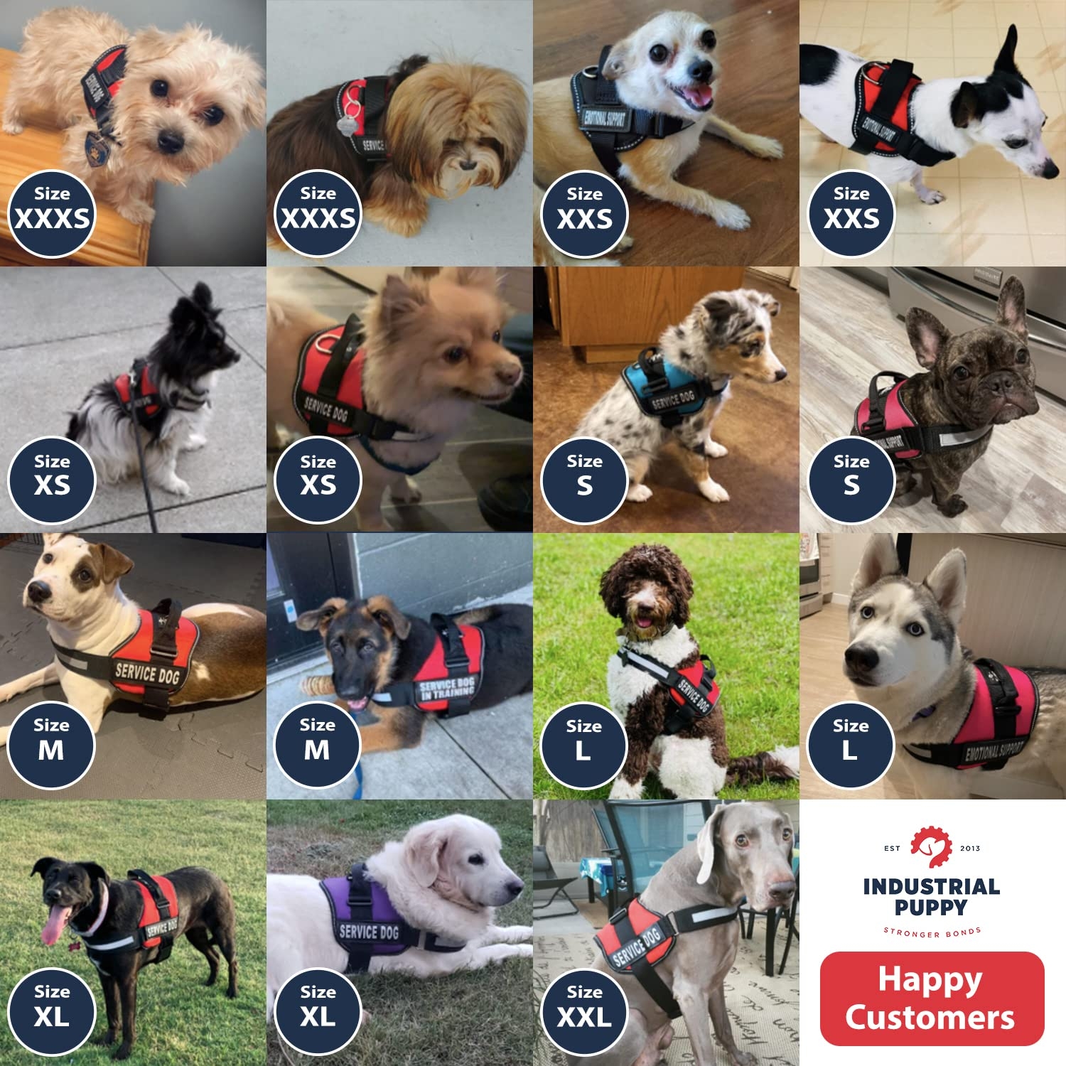 Service Dog Vest Colors Sales