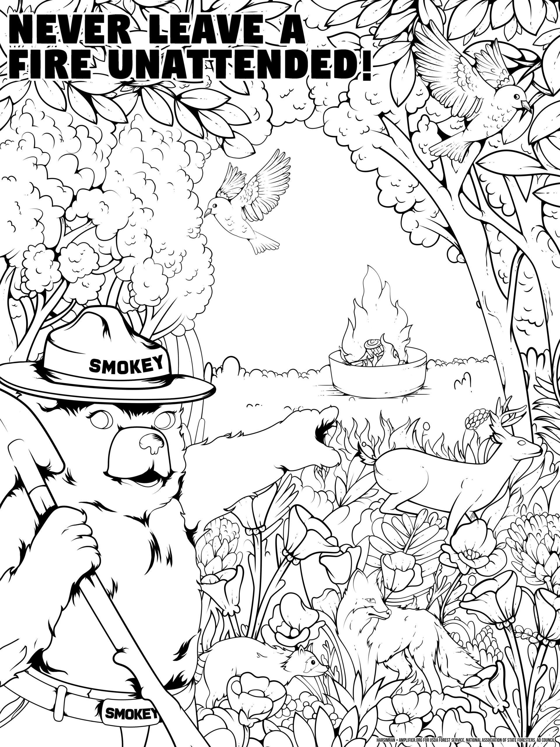 smokey bear coloring book