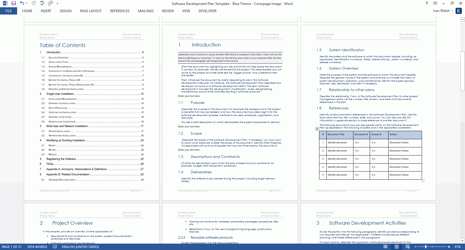 development plan template word