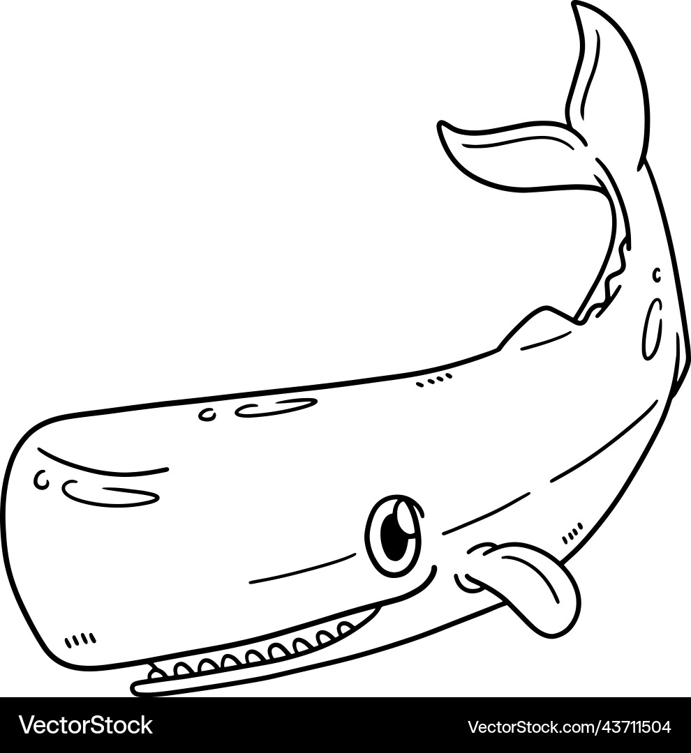 Sperm Whale Isolated Coloring Page For Kids Vector Image
