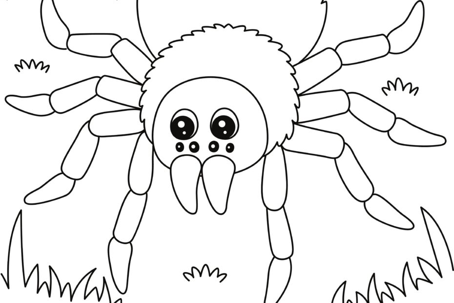 Spider Coloring Page DIGITAL DOWNLOAD Printable Coloring Page Etsy