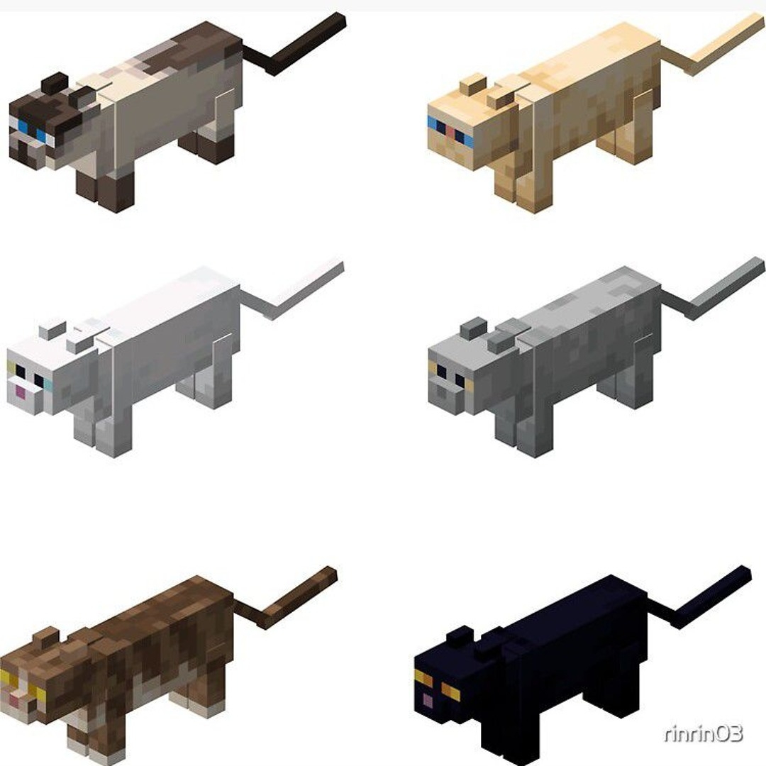 Stream Minecraft Cats By Real Maxwell Cat Listen Online For Free On SoundCloud