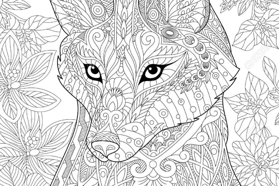 Stylized Cartoon Wild Fox Animal And Hibiscus Flowers Freehand Sketch For Adult Anti Stress Coloring Book Page With Doodle And Zentangle Elements Royalty Free SVG Cliparts Vectors And Stock Illustration Image 70128109