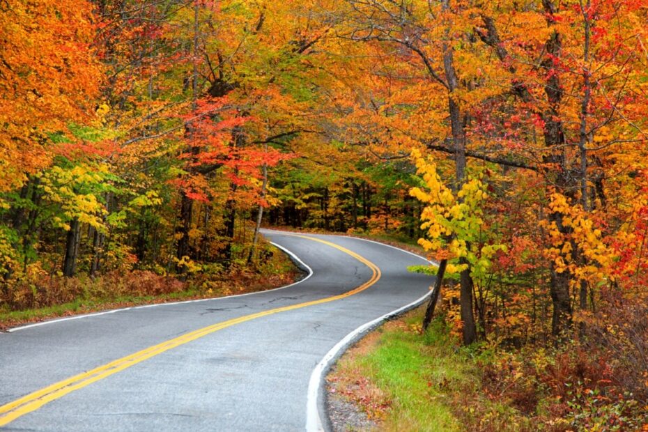 The Beauty Of Fall Colors On Trees TurfGator