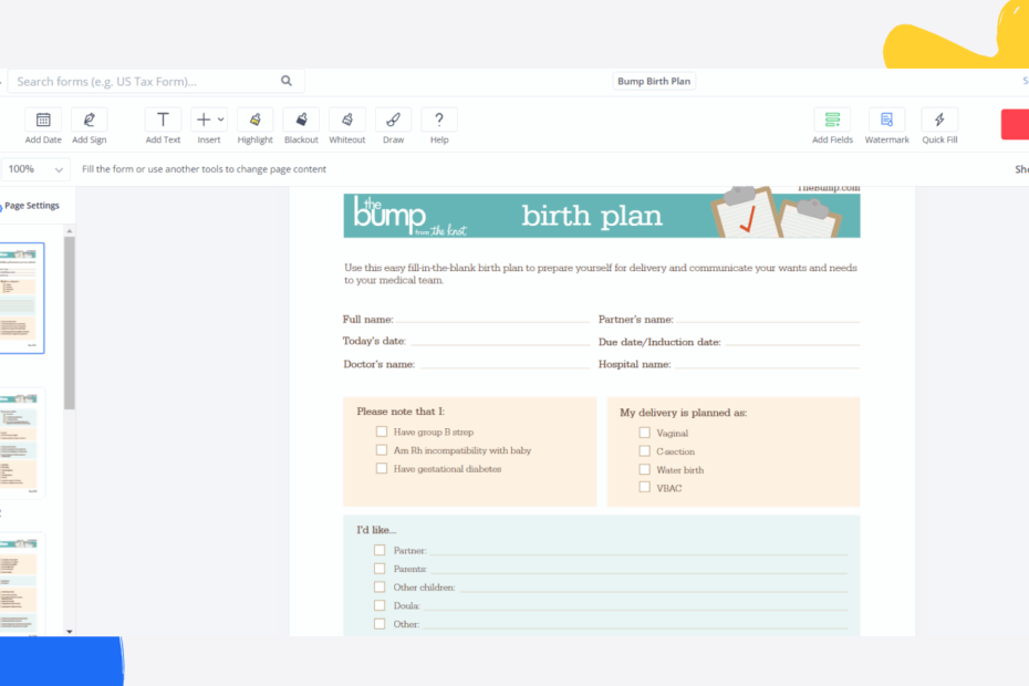 The Bump Birth Plan PDF Blank Sign Forms Online PDFliner