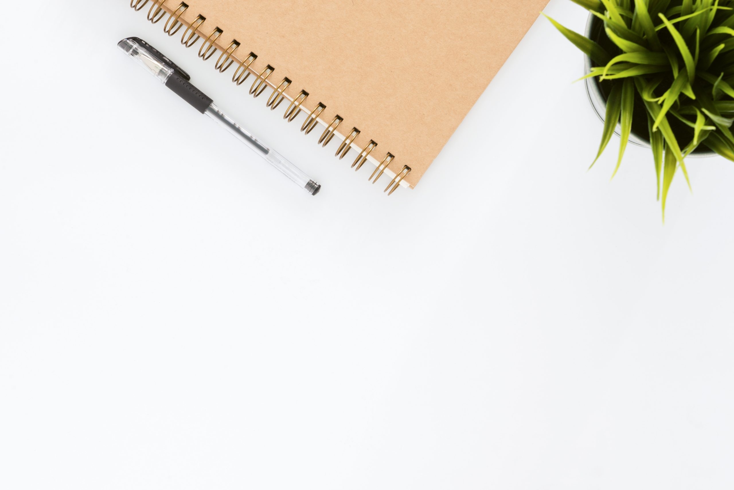 The Complete Vacation Rental Business Plan Template Hostfully