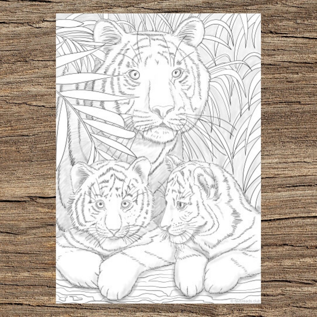 Tigers Printable Adult Coloring Page From Favoreads coloring Book Pages For Adults And Kids Coloring Sheets Coloring Designs Etsy Denmark