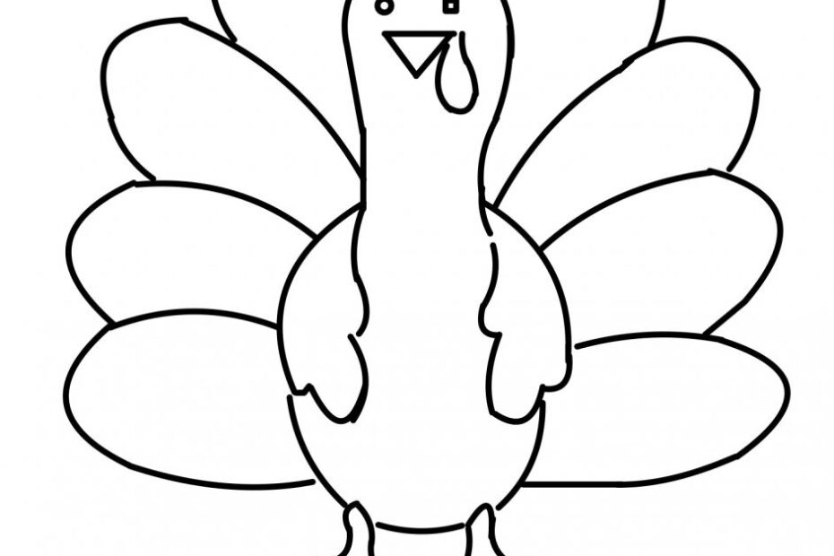 Turkey Activities Front And Side View Tactile Graphics Perkins