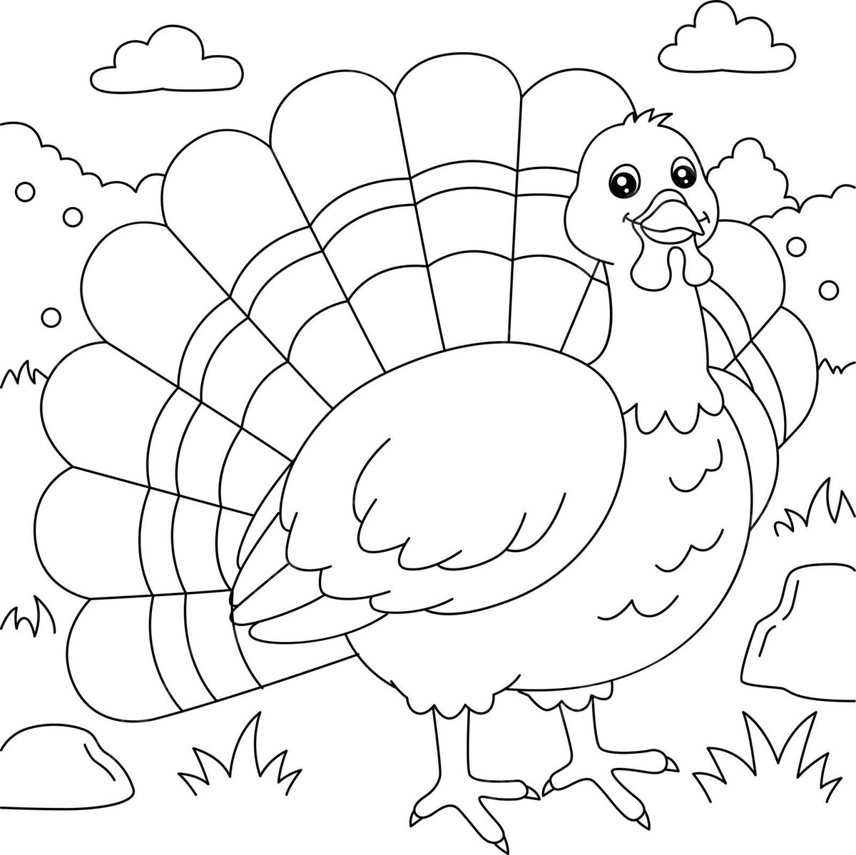 Turkey Coloring Page For Kids Outline Chicken Turkey Vector 