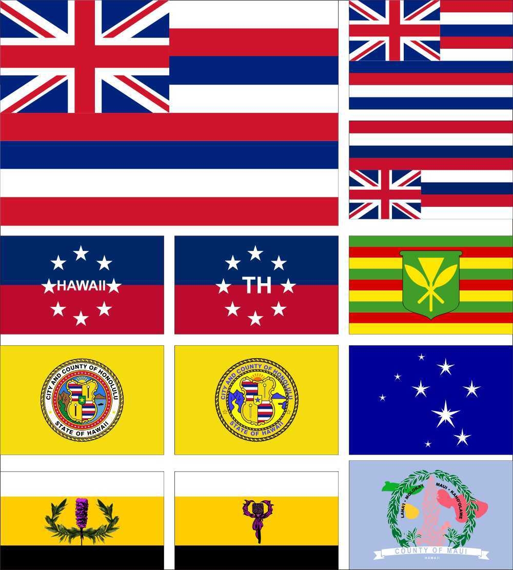 USA Hawaii Flag Sovereignty Movement Honolulu Ka Lahui Kanaka Maoli Governor
