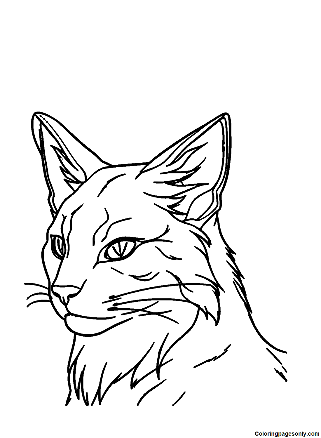 coloring pages warrior cats