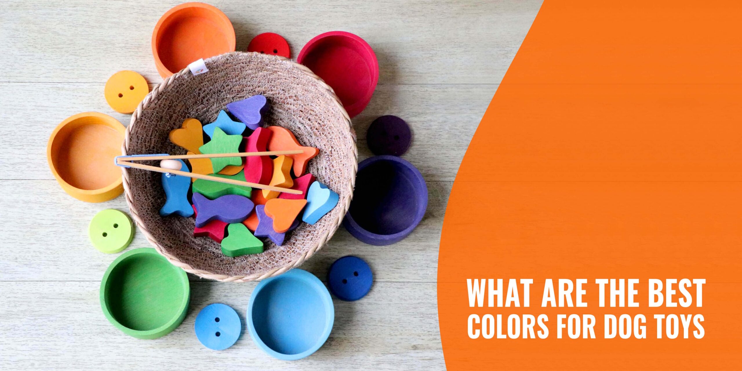 What Are The Best Colors For Dog Toys Science Based Explanation 
