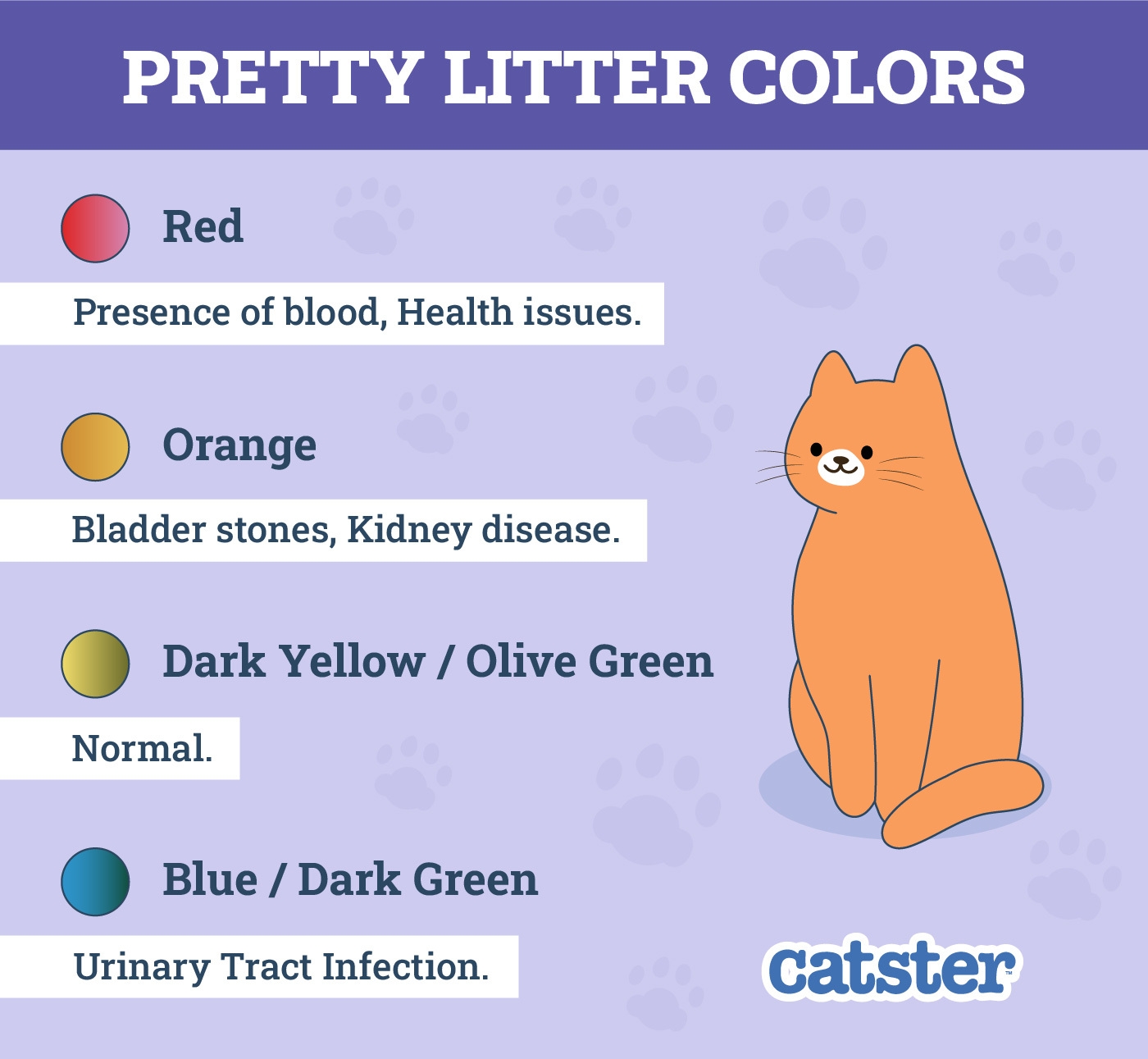 What Do The PrettyLitter Colors Mean Explanation With Color Chart 