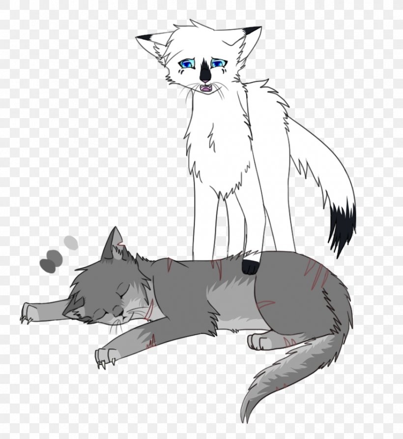 Whiskers Cat Warriors Coloring Book Illustration PNG
