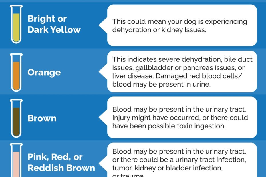 Why Is My Dog s Pee Green 5 Vet Reviewed Reasons U0026 What To Do Dogster
