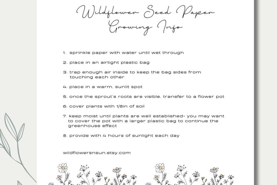 Wildflower Seeded Cards Growing Info Planting Instructions Seeded Paper PDF Download Printable Etsy