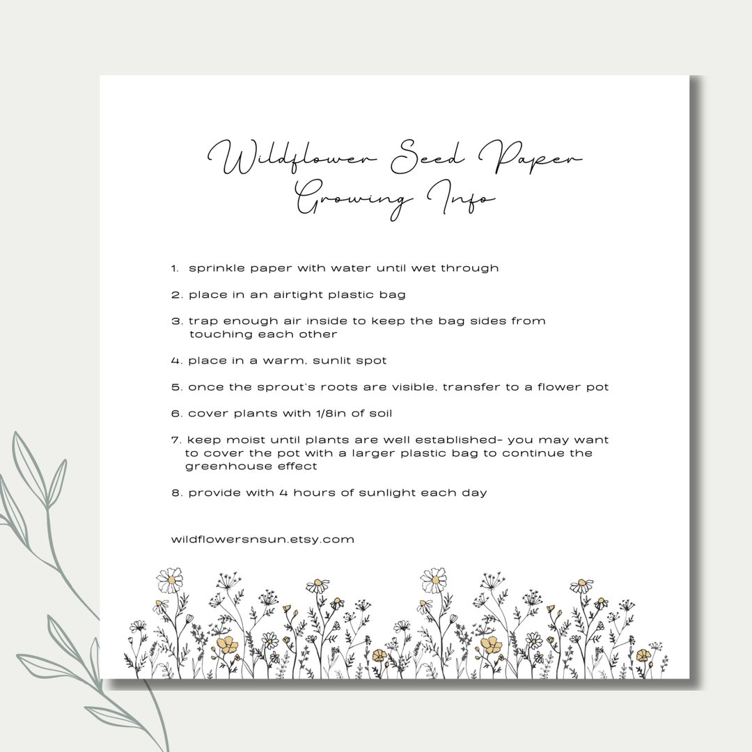 Wildflower Seeded Cards Growing Info Planting Instructions Seeded Paper PDF Download Printable Etsy