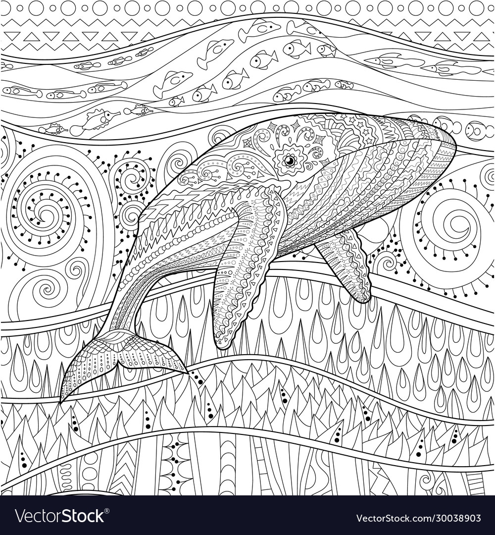 coloring pages of blue whales
