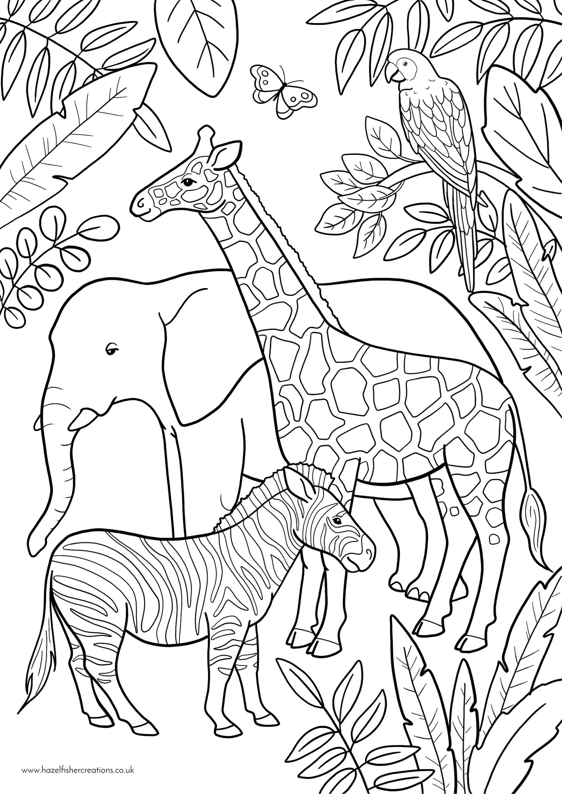 zoo animal pictures to color