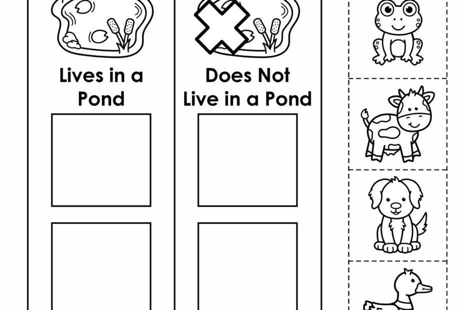 Pond Preschool Preschool Circle Time Plan Activities